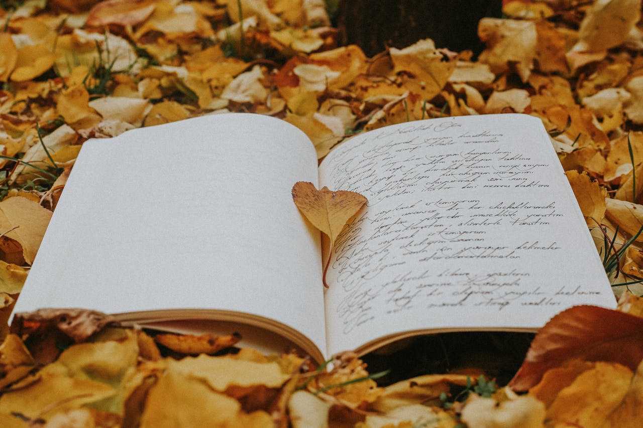 gallery-01 pexels-photo-34344664.jpeg